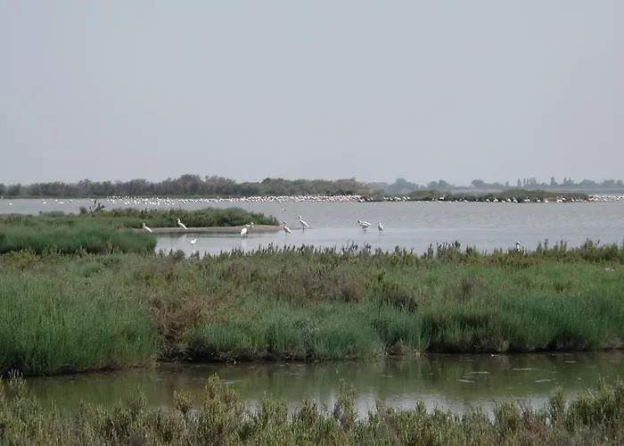 Lagomare Lido di Spina