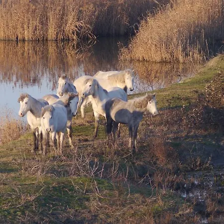 Lagomare Apartmán Lido di Spina