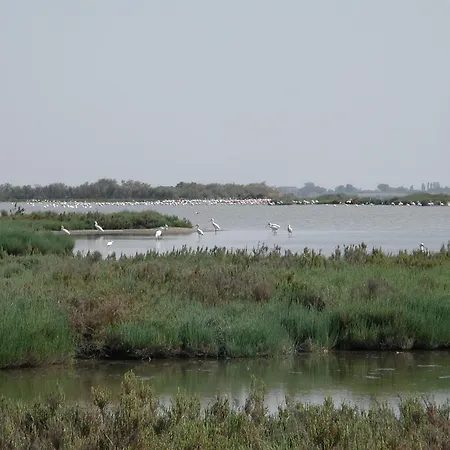 Lagomare Lido di Spina