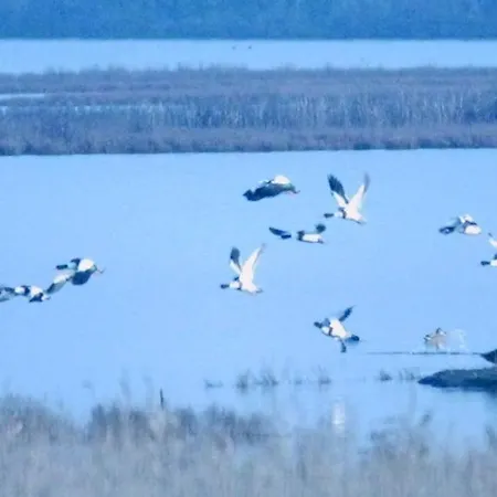 Apartman Lagomare Lido di Spina