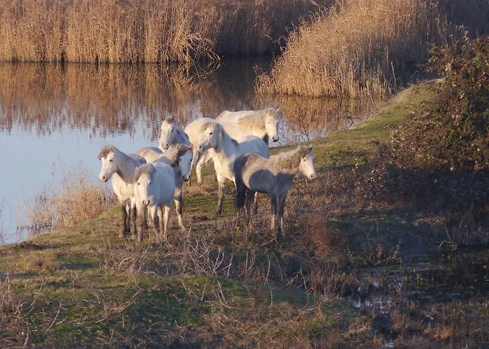 Lagomare Apartmán Lido di Spina