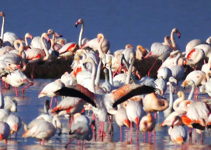 Appartement Lagomare Lido di Spina