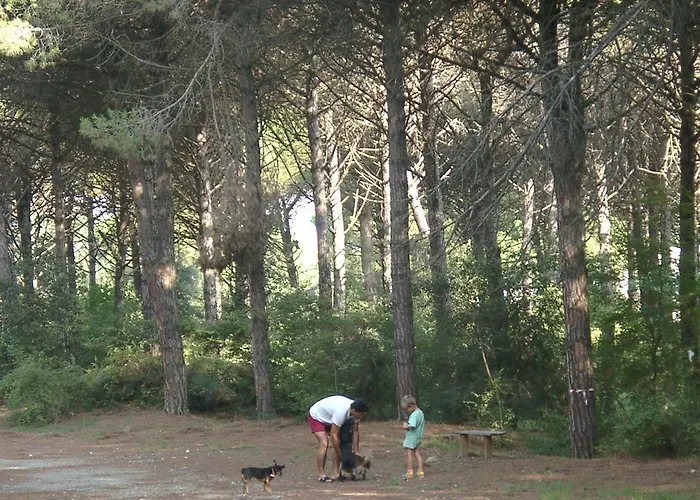 Lagomare Apartmán *