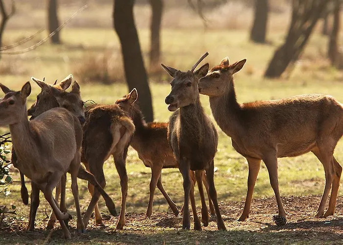 Apartmán Lagomare Lido di Spina