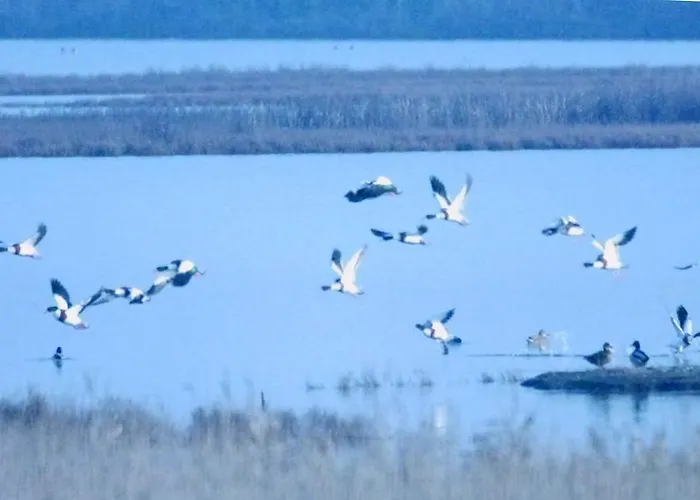 Appartement Lagomare Lido di Spina
